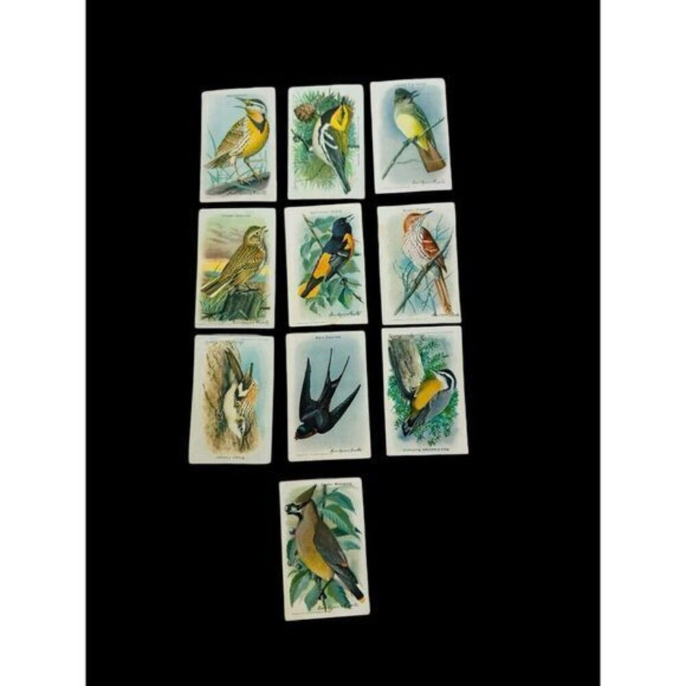 Useful Birds of America Tenth Series Card Lot Of 10 Arm & Hammer Baking Soda VTG